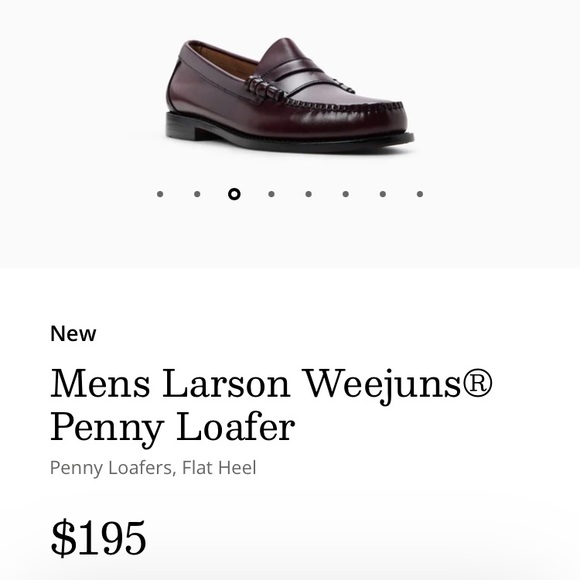 G.H. Bass Mens Larson Weejuns®
Penny Loafer main image 8